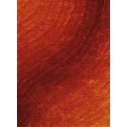 Finesse Allure Burnt Orange 5 ft. 3 in. x 7 ft. 2 in. Area Rug by United Weavers